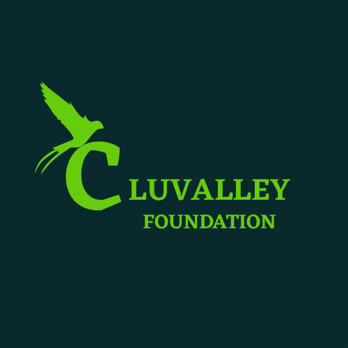 CLUVALLEY FOUNDATION